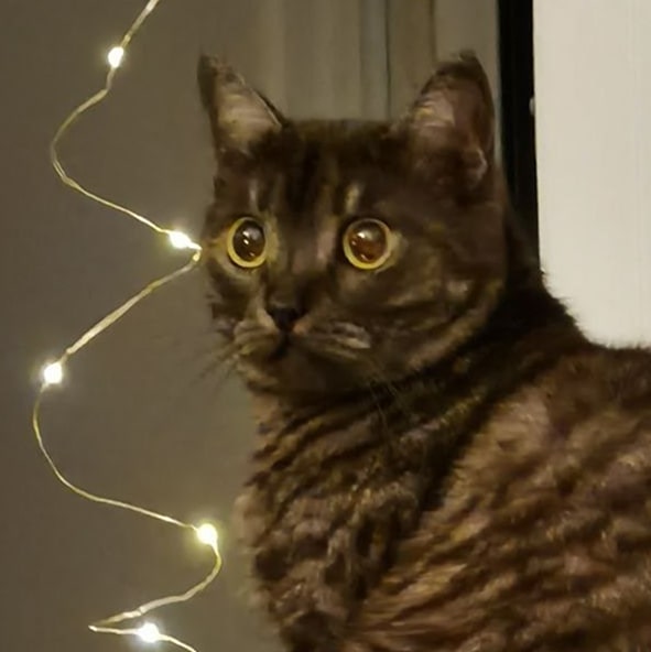 Agatha